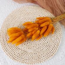 89件/116件蓝色香蒲和兔尾装饰套装 - 波西米亚风花卉，适用于家居装饰、DIY手工、节日装饰 | 适合圣诞节、新年、情人节和母亲节 - 原色 - 查看 15