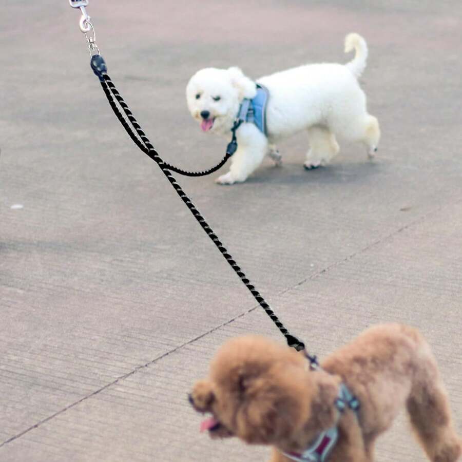 Correa doble para perros, cuerda redonda, giratoria 360°, adecuada para perros grandes, medianos y pequeños, correa ajustable, reflectante.