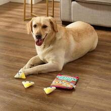Outward Hound Snack Bag Tortilla Chips Puzzle Squeaky Dog Toys - ColorJ - 查看 6
