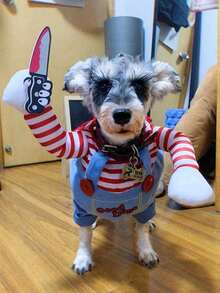 1pc Pet Funny Trick Costume, Dog Chef Outfit, Holiday Essential Pet Halloween Costumes, Fun Dog Gifts, Suitable For Cats, Small And Medium Dogs - Multicolor - View 3