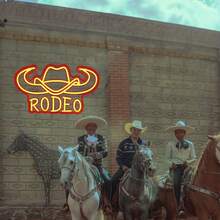 Cowboy Neon Signs Western Cowboy Neon Sign Longhorn Neon Signs LED Bull Skull Neon Signs Texas Neon Lights Bedroom Home Office Bar Game Room Man Cave Wall Decor Gift 16 * 9.3 In - 牛仔 - 查看 4