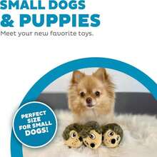 Outward Hound Snack Bag Tortilla Chips Puzzle Squeaky Dog Toys - ColorE - View 4