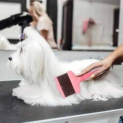 Double-Sided Pet Grooming Brush - Stainless Steel Needle & Slicker Comb For Dogs/Cats - Non-Slip Ergonomic Handle, Gentle Detangling Tool To Remove Loose Hair/Tangles - Durable & Easy To Clean, For Long-Haired Pets