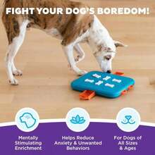 Outward Hound By Nina Ottosson Dog Casino Treat Puzzle Enrichment Toy, Level 3 Advanced, Turquoise - Màu B - Xem 2