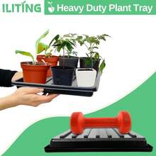 Plant Growing Seed Starter Trays For Seedlings Microgreen Shallow Plants Tray Standard 1010 Tray With Drain Holes 5 Pack Black 10.7 X 10.7 Inches Square Trays - 5個裝(有孔) - 查看 4