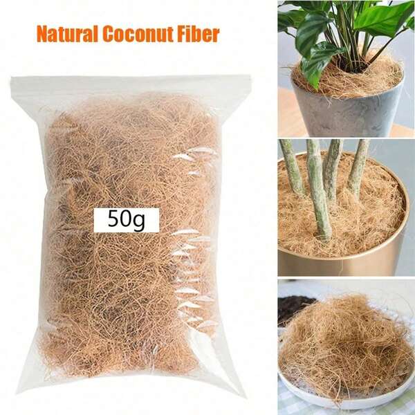 50/100/1000g Fibra de cáscara de coco Coco Coir para orquídeas, manualidades, camas de mascotas, protección de insectos y mantenimiento de la temperatura del suelo