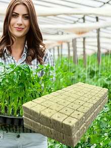 50/100/200 块岩棉块水培种植套件，无土植物发芽系统，非常适合农业生长，无需施肥，透气保湿植物启动块，圣诞节