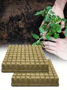 50/100/200 块岩棉块水培种植套件，无土植物发芽系统，非常适合农业生长，无需施肥，透气保湿植物启动块，圣诞节