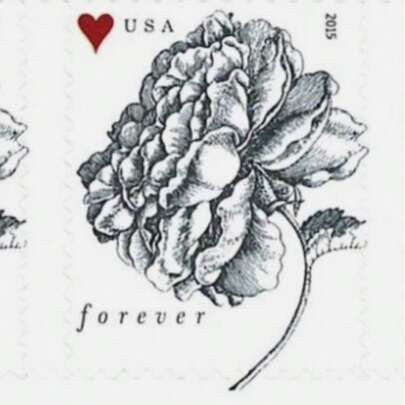 100 Pcs/. 2015 Vintage Rose Stamps. Vintage. First Class Stamps. Local Stock.
