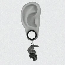 2PCS New Stainless Steel Ear Plugs Tunnels Ear Gauge Stretcher Fashion Halloween Skull Dangle Earrings Body Piercing Jewelry Women Men