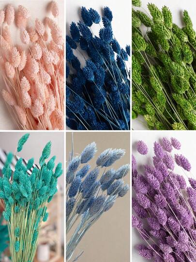 20/50/100pcs Gem Grass Dried Flowers, Multi-Color Options, For Home Decor, Vase Decor, DIY Bouquets, Cake Decoration