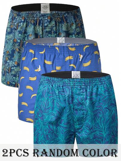 2 Packs Men's Multicolor Cotton Briefs Plaid Printed Stylish Comfort Boxer Briefs Random Color