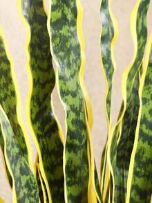 1 قطعة نبات صناعي أفعى 45 سم، نبات سانسيفيريا صناعي مزروع في أصيص للديكور الداخلي والخارجي، المنزل والمكتب، 3 أوراق (بدون وعاء)، هدية عيد الحب، هدايا عيد الميلاد والتخرج، ديكور المنزل، عودة إلى المدرسة، لوازم المدرسة