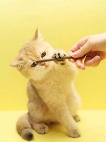 10pcs Cat Teeth Cleaning Chew Sticks,Catp, Dental Care, Cat Toys, Teeth Grindcatatnip Sticks, Matatabi, Cats Self-Playing Chewing Toys - Multicolor - View 4