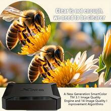 2GB 16GB X96Q Android 10.0 TV Box Allwinner H313 Quad Core 4K 2.4G Wifi Smart Player X96 1GB 8GB Set Top Box - 黑色 - 查看 9