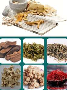 1 Box Artemisia Extract Ointment, Daily Body Care, Herbal Effective Ointment, Plant Essence, Suitable For Back, Neck, Knee, Waist, Relax Body And Mind, Fitness Massage Product, Soothe Body - Multicolor - View 2