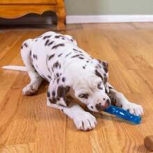 Outward Hound Dogwood Puppy Durable Dog Chew Toys, Real Wood &Amp; Teething Bone, 2-Pack, Small - MàuG - Xem 8