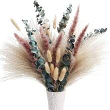 Dried Flower Bouquet Natural Pampas Grass with Stems for Vase Home Porch Garden Yard and More - Multicolor - Ver 4