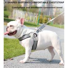Reflective Dog Harness For Small Medium Dogs, Adjustable No-Pull Pet Vest Harness With Comfort Padded, Easy-To-Wear Design, Ideal For French Bulldogs And Daily Walking