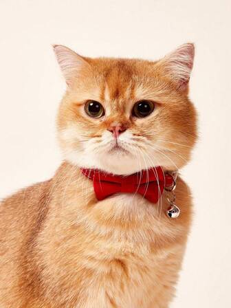 1 Collar para gato con campana y lazo, adecuado para gatos y perros, para primavera/verano/otoño/invierno, suministros para mascotas, collar para perro, collar de mascota de unicolor con lazo, collar ajustable para gatos y perros