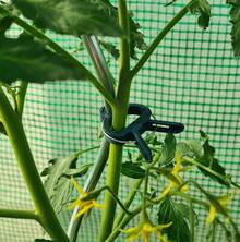 20 abrazaderas para plantas, abrazaderas de jardín de 32,1 x 42,3 mm para sujetar plantas, flores y enredaderas, juego de abrazaderas para plantas suaves y duraderas