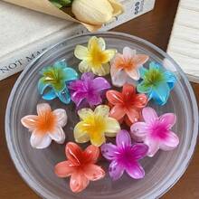 18-Piece Stylish And Elegant Colorful Gradient Flower Shape Hair Clips, Perfect Hair Accessories For Daily Use And Outdoor Vacation Wear,Suitable For Beach Photography, Casual Daily Use, Creating A Casual And Fashionable Appearance, Small And Exquisite Hair Accessory Clip - Màu sắc ngẫu nhiên - Xem 1