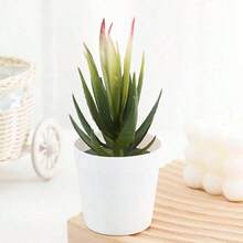 1 Stück Künstliche Flockige Sukkulente mit Diamantmuster/Kleiner weißer Topfpflanze, künstliche Blumendekoration, Gefälschte Topfpflanze, lebensechte grüne Pflanze, geeignet für Zimmer, Wohnzimmer, Teetisch, Schreibtisch, Geschenk, Weihnachten