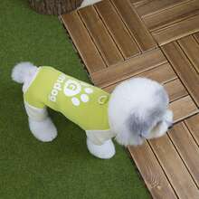 25 Slots Gloomy 4-Leg Sweatshirt, Dog Clothes, Cat Warm Outfit, Pet 4-Leg Padded Coat, Thick Windproof Warm Wear, Small Animal Clothing, Casual Leash Buckle Autumn/Winter Thick Snow Suit, Small Dog Apparel, Animal Supplies, New Arrival Dog Clothes, 4-Leg Thick Snow British Style Casual Wear - Mint Green - View 10