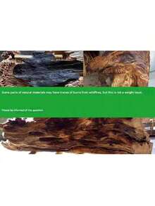 1 块大型浮木 25-30 厘米天然浮木珊瑚装饰，水族箱水景浮木 - 逼真的爬行动物和两栖动物栖息地，带攀爬树枝，乌龟筑巢平台，以及淡水或海水水族箱装饰，自然外观，耐用木材，随机发货的南美坦克装饰，盆景根，鹿角，干树枝 - 彩色 - 查看 12