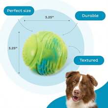 Outward Hound Grunt Fetch Stick Dog Toy, Bunny, Red - MàuC - Xem 4