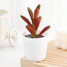 1 Stück Künstliche Flockige Sukkulente mit Diamantmuster/Kleiner weißer Topfpflanze, künstliche Blumendekoration, Gefälschte Topfpflanze, lebensechte grüne Pflanze, geeignet für Zimmer, Wohnzimmer, Teetisch, Schreibtisch, Geschenk, Weihnachten