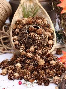 50 pièces - Petites décorations de Noël en pomme de pin, 2-3 cm (0,8-1,9 po) Petites décorations de pomme de pin pour Thanksgiving, cônes de pin mini naturels, convenant pour la table, la décoration de la maison, le remplissage de vase, l'artisanat de pomme de pin DIY, la décoration du festival d'automne
