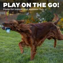 Outward Hound Tail Teaser Replacement Lure For Dog Teaser Wand, Fox - ColorA - View 5