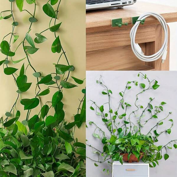 50pcs Plant Climbing Wall Fixture Clips, Self-Adhesive Hook Vines Traction Invisible Holder Supporting Wire Fixing, For Garden Wall Clip, Vines Fixing Clips Self-Adhesive Hook Plant Vine Traction For Indoor Outdoor Decoration
