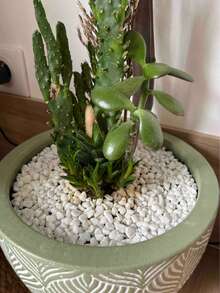 0.44/1.76lb Natural Decorative Rock - Mixed Color Pebble, Suitable For Aquarium, Garden, And Indoor/Outdoor Decorative Stone Crushed Stone, Suitable For Fish Tank Bottom Sand, Vase And Flower Pot Filling, Aquatic Plants, Micro Landscape, Mini Garden Natural Stone Mixture, Perfect For Halloween, Christmas, New Year, Wedding Anniversary,