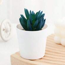1 Stück Künstliche Flockige Sukkulente mit Diamantmuster/Kleiner weißer Topfpflanze, künstliche Blumendekoration, Gefälschte Topfpflanze, lebensechte grüne Pflanze, geeignet für Zimmer, Wohnzimmer, Teetisch, Schreibtisch, Geschenk, Weihnachten