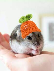 小型宠物针织帽，仓鼠专用小帽子，宠物仓鼠服装帽子，圣诞草帽可调节泰迪仓鼠头饰，泰迪仓鼠服装鹦鹉头饰，玄凤鹦鹉，豚鼠配饰