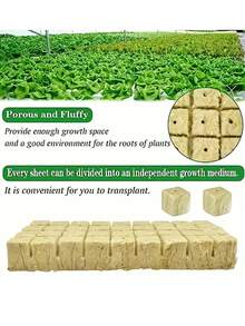 50/100/200 块岩棉块水培种植套件，无土植物发芽系统，非常适合农业生长，无需施肥，透气保湿植物启动块，圣诞节