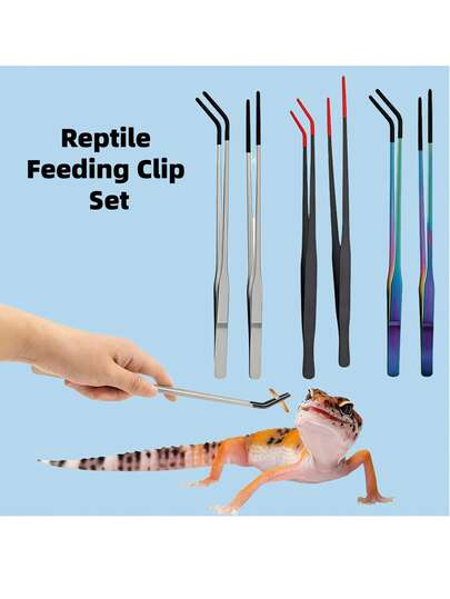 2 pezzi Versione grigia/nera/colorata 27 cm Pinze per rettili in acciaio inossidabile con punta in gomma, Pinze lunghe dritte e curve per acquario o artigianato, Accessori per terrario di draghi barbuti e serpenti, Forniture per terrario