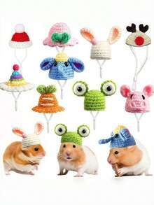 小型宠物针织帽，仓鼠专用小帽子，宠物仓鼠服装帽子，圣诞草帽可调节泰迪仓鼠头饰，泰迪仓鼠服装鹦鹉头饰，玄凤鹦鹉，豚鼠配饰