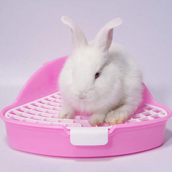 1 قطعة صندوق فرشة كبير للخنزير الغينيا/همستر، مستلزمات حيوانات أليفة للحيوانات الصغيرة، وعاء قطة أرنب مع مشبك