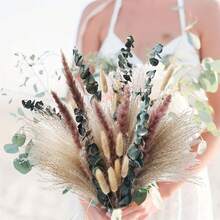 Dried Flower Bouquet Natural Pampas Grass with Stems for Vase Home Porch Garden Yard and More - Multicolor - Ver 5
