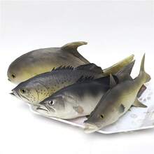4pcs Artificial Simulation Fish Model, Marine Animal Realistic Fish Replica Including Bass, Spotted Fish, Tuna, Small Sea Fish, Carp, Lifelike Fake Fish For Aquarium Decoration