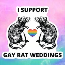 Tôi ủng hộ đám cưới chuột đồng tính - Hình dán trang trí quà tặng cầu vồng LGBTQ+ dành cho đám cưới chuột đồng tính - Hình dán trang trí laptop, bình nước, cốc, xe hơi, xe tải, cản xe, mũ bảo hiểm, điện thoại, tường, cửa sổ, đồ dùng làm sổ lưu niệm, hình dán vui nhộn, hình dán laptop, hình dán điện thoại Kindle - Nhiều màu - Xem 9