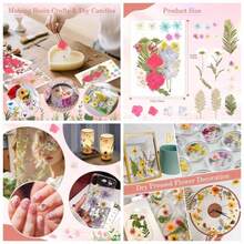 Dried Plants - Tipo 5 - View 1