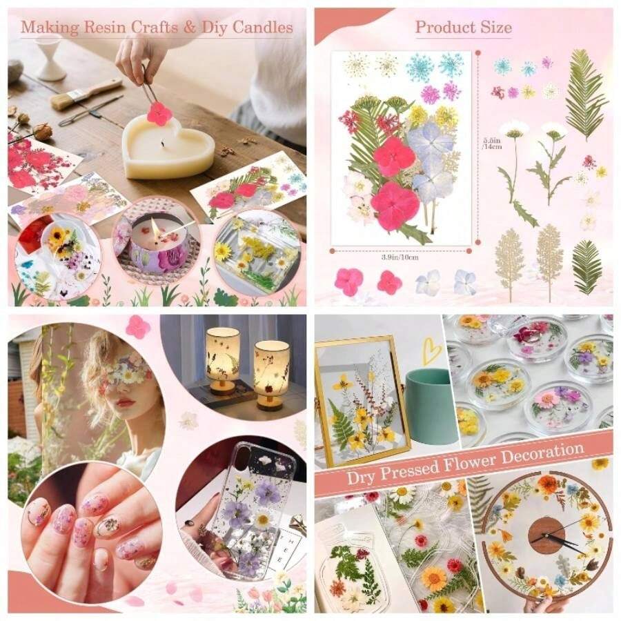 Dried Plants - Tipo 5 - View 1