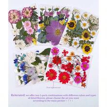 Flores Prensadas Secas para Resina, 5 Bolsas de Piezas de Flores Prensadas, 5 Temas de Colores, Flores Secas para Arte de Uas, Resina, Diseo de Joyera de Tipo 2 - Tipo 1 - Ver 5