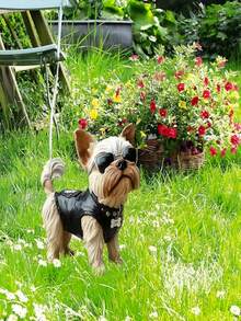 1 Peça Cartão Criativo de Inserção de Jardim, Cartão de Inserção Decorativa de Chão com Cachorro, Prop Decorativo, Cartão de Inserção de Jardim, Cartão de Chão Decorativo Adequado para Decoração de Jardim Externo, Melhora os Suprimentos Decorativos Estéticos