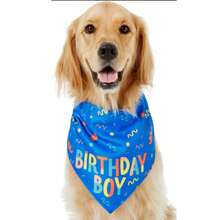 2 pezzi Bavaglini per cani per compleanno, accessori per cani, bavaglini per cani maschi per compleanno, sciarpa triangolare, adatto per cani di taglia media e piccola, forniture per feste di compleanno per animali domestici
