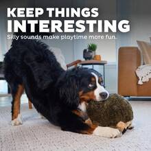 Outward Hound, Hedgehogz Plush Dog Toy, Medium - 毛絨狗刺猬 - 查看 5